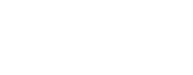 The OBD Company